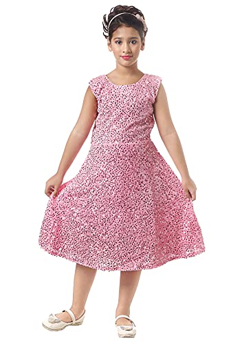 TOUCAN LIFESTYLE Girls Kids 5 6 Years Fancy Velvet Dress with All Over Sequence Work Frock One Piece 26 Pink
